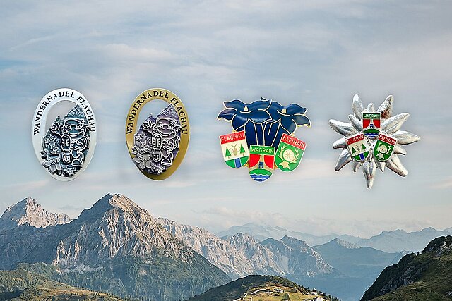 Wandernadeln, die ihr in Flachau erwandern könnt